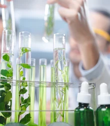 Innovating Sustainably, Governing Responsibly