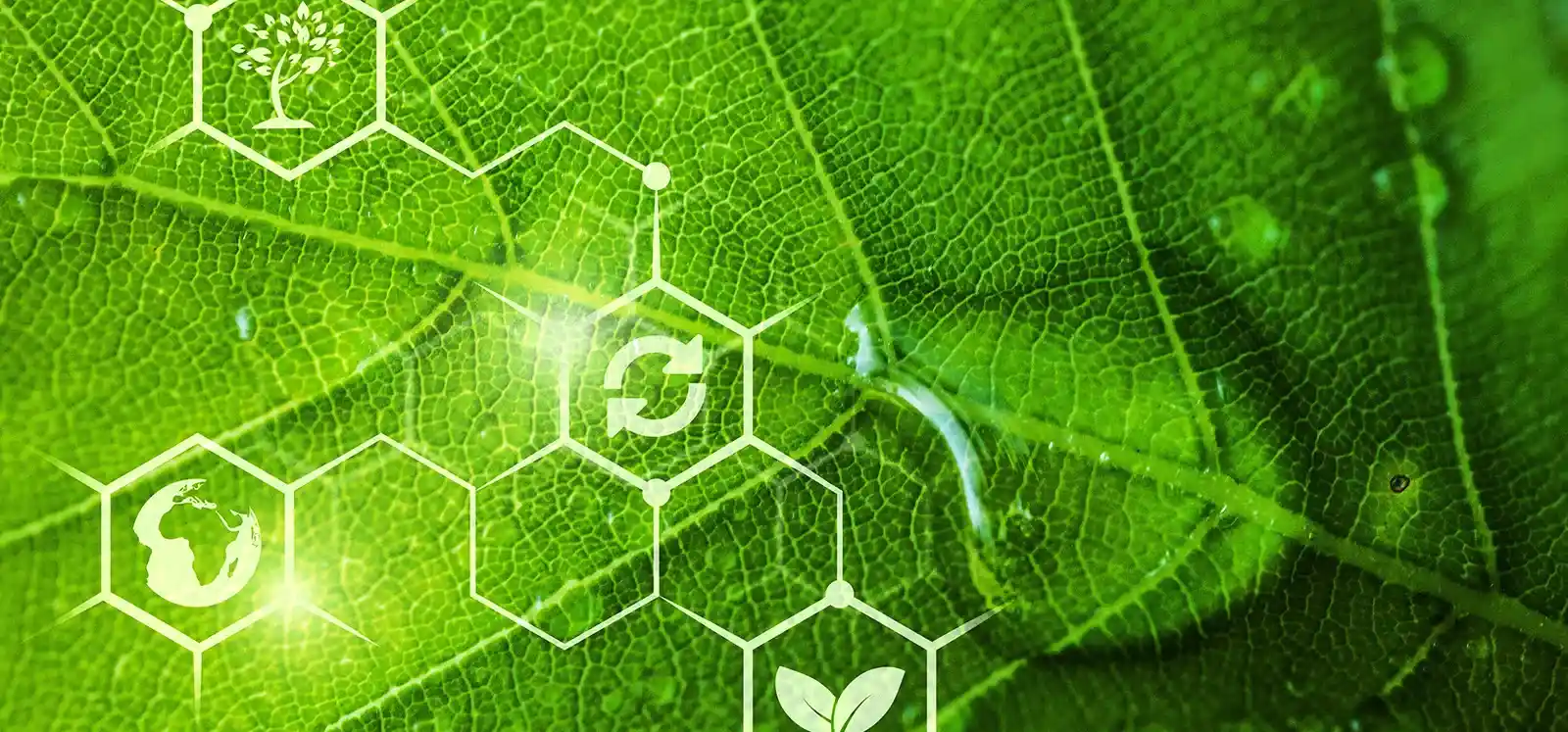 Innovating Sustainably, Governing Responsibly