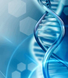 Mastering the Chemistry of Xanthine Derivatives