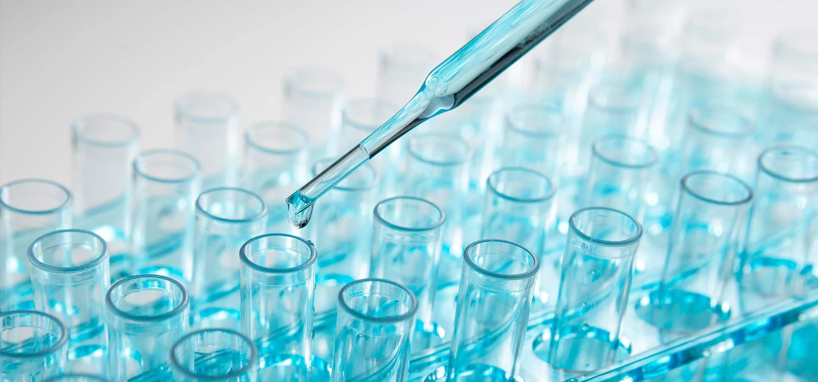 Mastering the Chemistry of Xanthine Derivatives