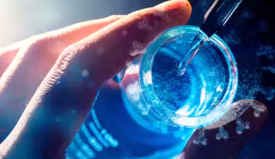 Xanthine Derivatives